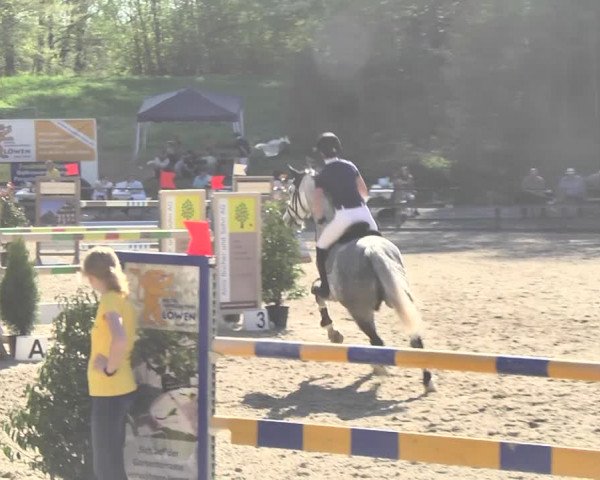 Reitturnier Sins-Attenschwil 2018