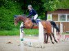 jumper Frodo 136 (Trakehner, 2005, from Febo)