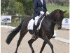 horse Heatherton Park Ma Cherie (Hanoverian,  , from Carbine)