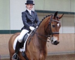 dressage horse Justus K (Oldenburg, 2007, from Just Perfect)