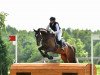 jumper Feiner Junge 9 (German Sport Horse, 2011, from Fiepes Winged xx)