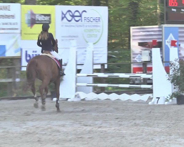 Reitturnier Sins-Attenschwil 2018
