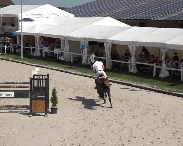 Reitturnier Horn 2018