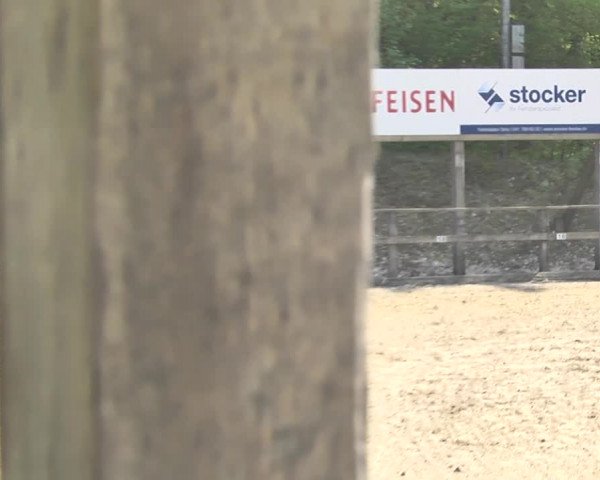 Reitturnier Sins-Attenschwil 2018