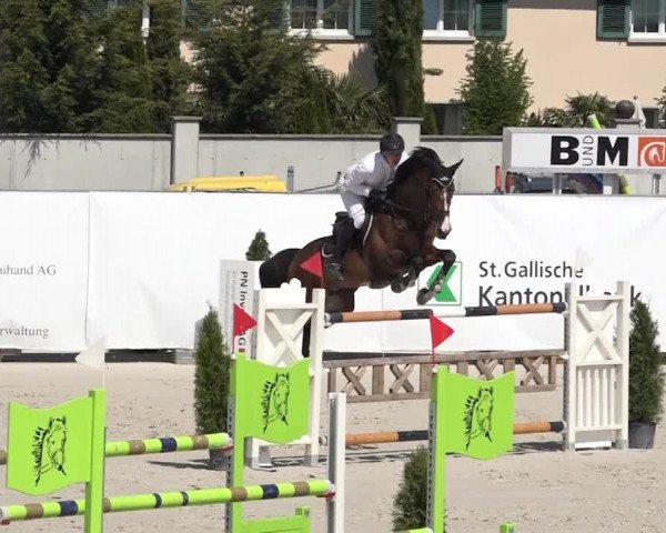 Reitturnier Horn 2018