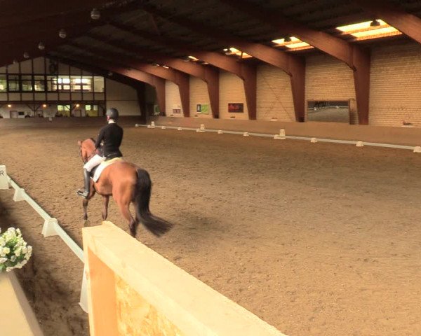 Reitturnier Kamen 2018