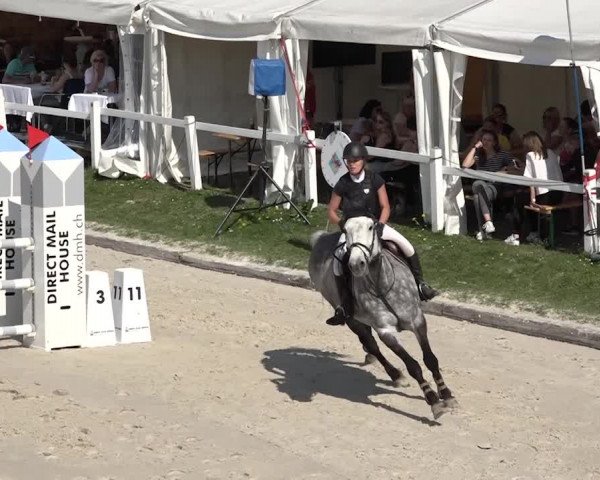 Reitturnier Horn 2018