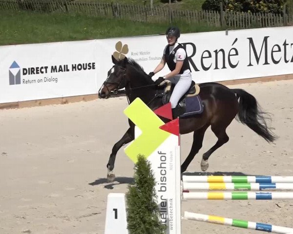 Reitturnier Horn 2018