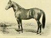 stallion Harold 413 (US) (American Trotter, 1864, from Hambletonian 10 (US))