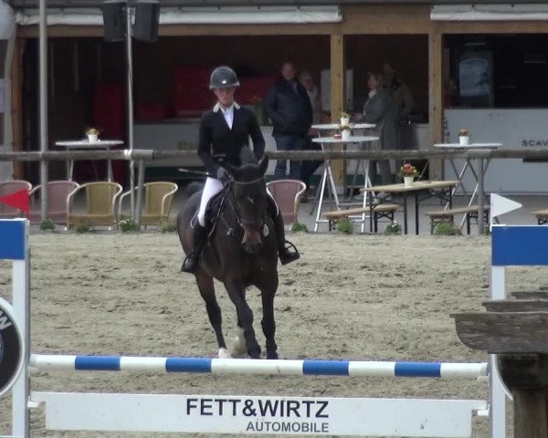 Reitturnier Xanten - Moermter 2018