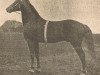 stallion Fleetwood S (US) (American Trotter, 1895, from Elyria 5729 (US))