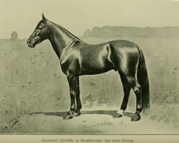 stallion Abdallah 15 (US) (American Trotter, 1852, from Hambletonian 10 (US))