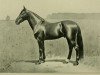 stallion Abdallah 15 (US) (American Trotter, 1852, from Hambletonian 10 (US))