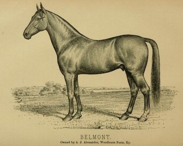 stallion Belmont 64 (US) (American Trotter, 1864, from Abdallah 15 (US))