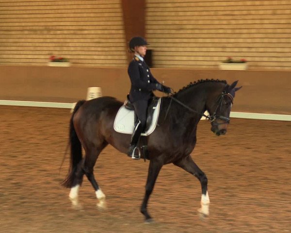 Reitturnier Kamen 2018