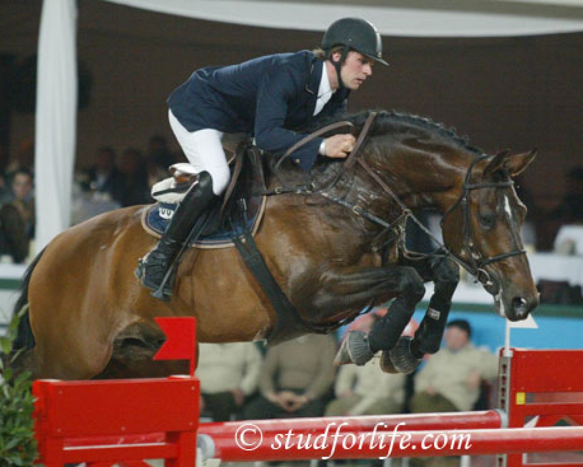 Deckhengst Nagano (KWPN (Niederländisches Warmblut), 1995, von Lux Z)