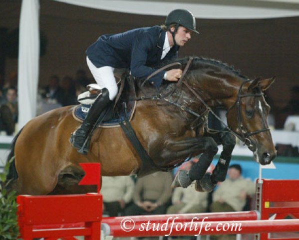 stallion Nagano (Dutch Warmblood, 1995, from Lux Z)