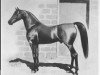 stallion Mambrino Patchen 58 (US) (American Trotter, 1862, from Mambrino Chief 11 (US))