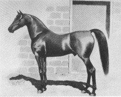 stallion Mambrino Patchen 58 (US) (American Trotter, 1862, from Mambrino Chief 11 (US))