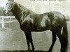 stallion Guy Wilkes US-2867 (American Trotter, 1879, from George Wilkes 519 (US))