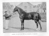 stallion Harley (FR) (Anglo-Norman, 1885, from Phaeton (FR))