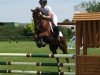 jumper Galahad (German Riding Pony, 2010, from Gandalf)