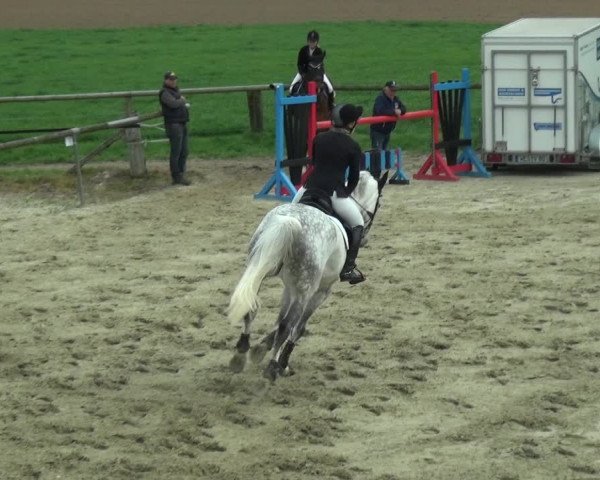 Reitturnier Xanten - Moermter 2018