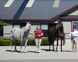 broodmare Cambiocorsa xx (Thoroughbred, 2002, from Avenue of Flags xx)