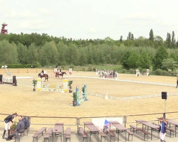 Reitturnier Kamen 2018