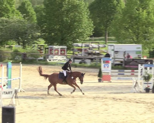 Reitturnier Kamen 2018