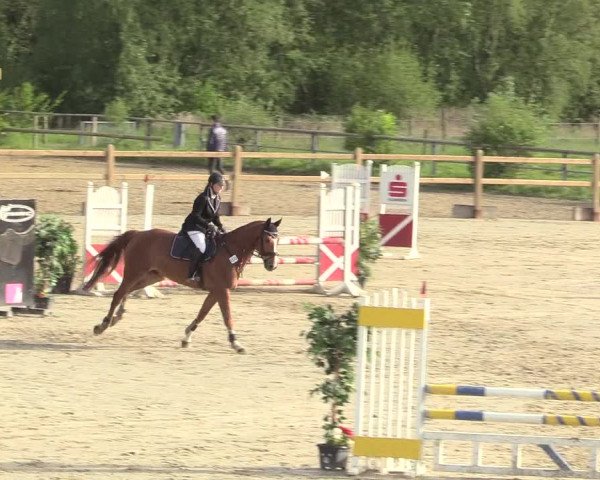Reitturnier Kamen 2018
