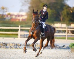 jumper Eagle Eye HX (KWPN (Royal Dutch Sporthorse), 2009, from Applaus)