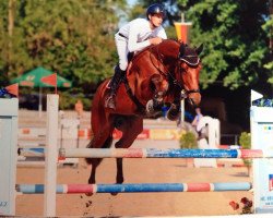 broodmare Chacc Ira (Oldenburg show jumper, 2009, from Chacco-Blue)