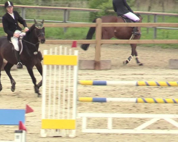 Reitturnier Kamen 2018