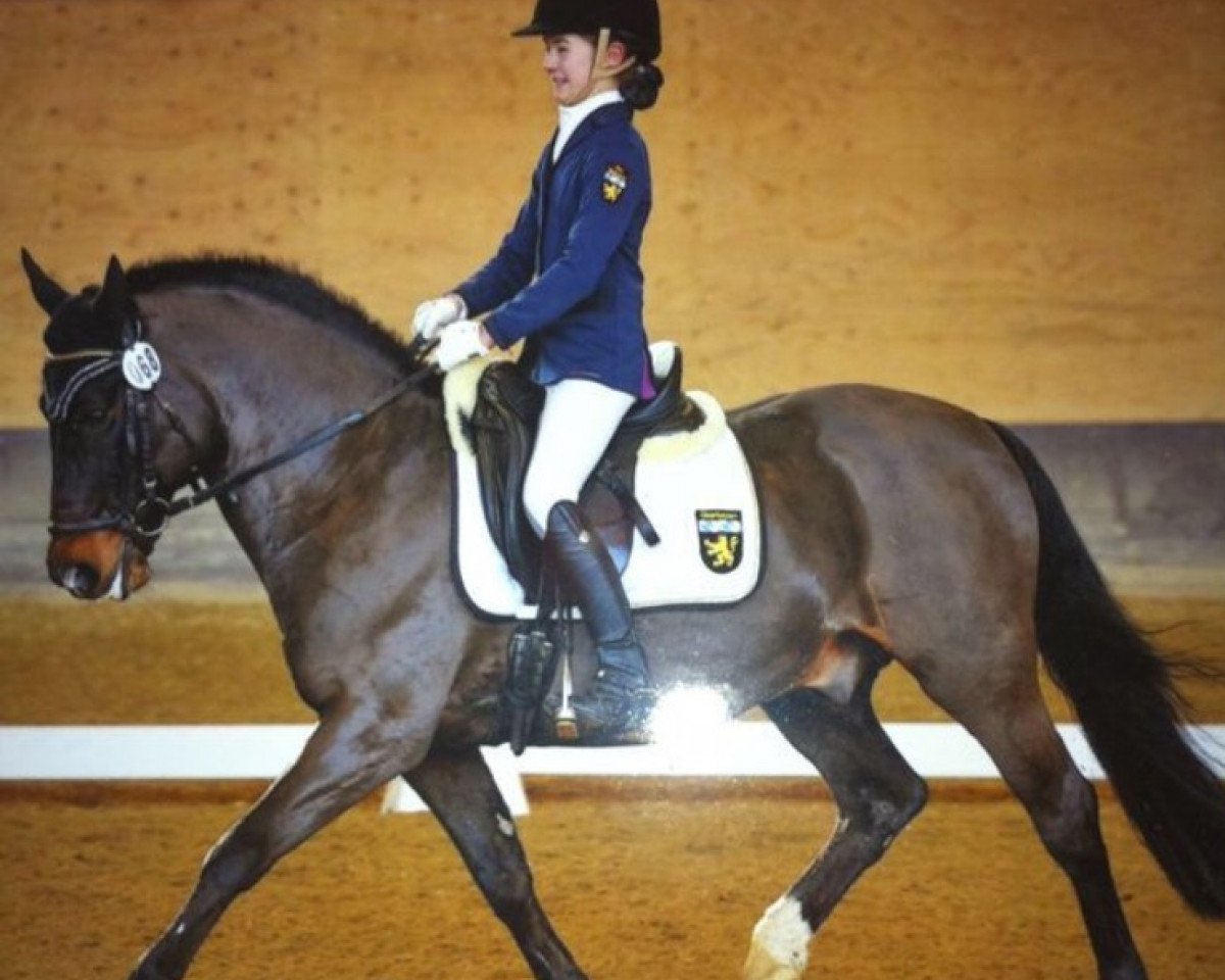 Dressurpferd Leviatan (Deutsches Reitpony, 1997, von Ladylover)