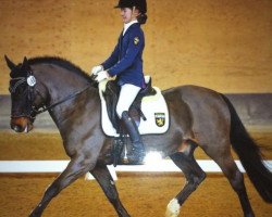 dressage horse Leviatan (German Riding Pony, 1997, from Ladylover)