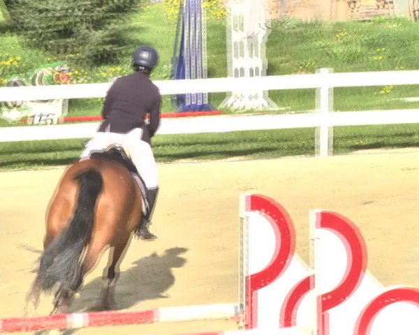 Reitturnier Leutkirch-Diepoldshofen 2018