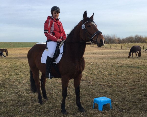 dressage horse Betty Barcley (unknown, 2000)