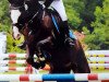 dressage horse Chamberlain 58 (German Riding Pony, 2001, from Cap Cennedy N)