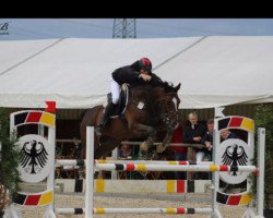 jumper Cyrano S (Hanoverian, 2002, from Carismo II 123 FIN)