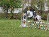 jumper Mac Gyver (German Riding Pony, 2005, from Marco Polo)