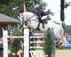 stallion Zanzibar (Belgian Warmblood, 2004, from Berlin)