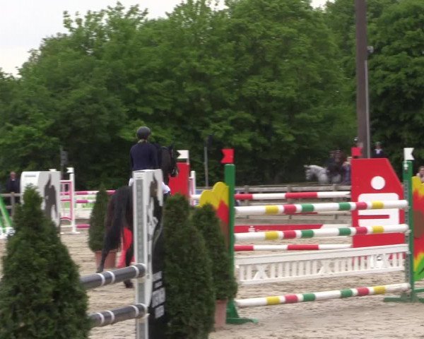 Reitturnier Nienberge 2018