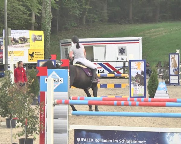Reitturnier Sins-Attenschwil 2018
