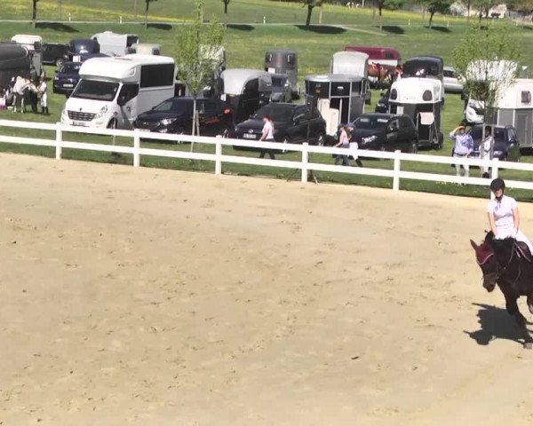 Reitturnier Leutkirch-Diepoldshofen 2018