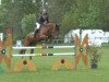 jumper Staklouna (Oldenburg show jumper, 2009, from Stakkatol)