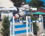 jumper Success 10 (KWPN (Royal Dutch Sporthorse), 2003, from Simon Templer VDL)