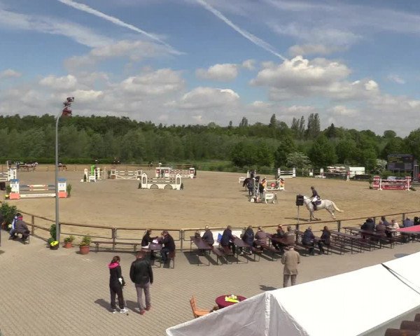 Reitturnier Kamen 2018