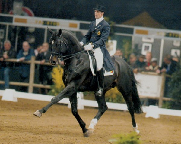 stallion Saros van het Gestelhof (Belgian Warmblood, 1995, from Ramiro Z)