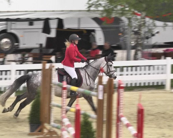 Reitturnier Leutkirch-Diepoldshofen 2018